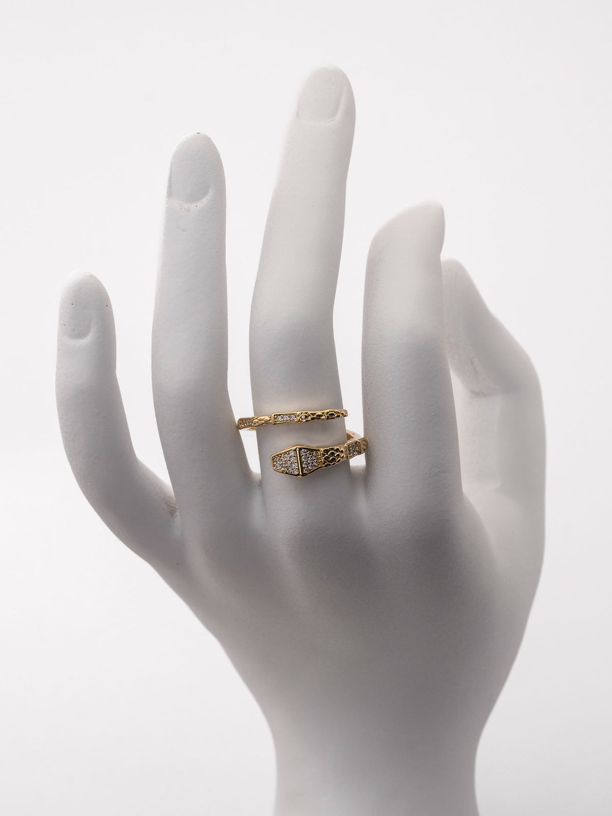 Anillo Snake